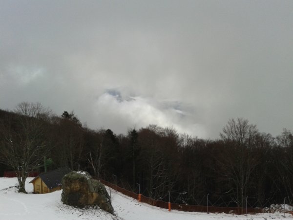 WP_000172.jpg