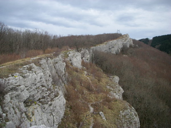 IMGP0147.JPG
