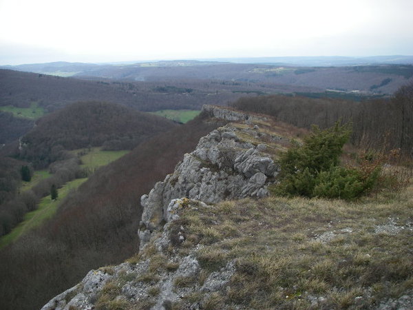 IMGP0146.JPG