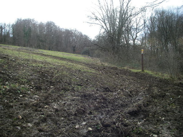IMGP0143.JPG
