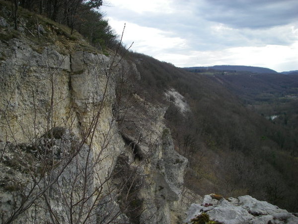 IMGP0141.JPG