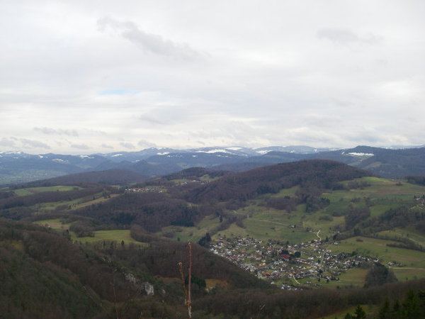 IMGP0151.JPG (103.77 Kio) Vu 639 fois Prise du Roti Flue