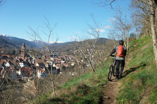 Le début d'une longue montée sur Horodberg