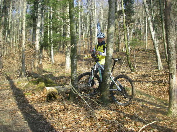 IMGP0178.JPG