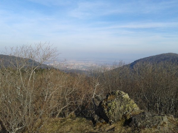 WP_000217.jpg