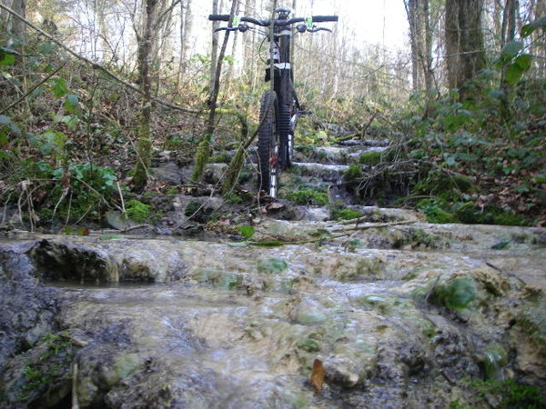 IMGP0198.JPG
