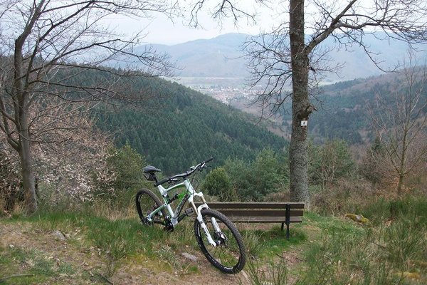 Vue du &quot;Grand Chêne&quot; sur Zimmerbach