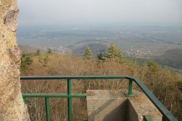 Vue de la statut du Galtz sur la plaine d' Alsace