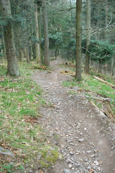 piste DH