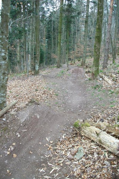 piste DH