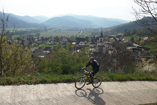 Vue du vignoble sur Walbach