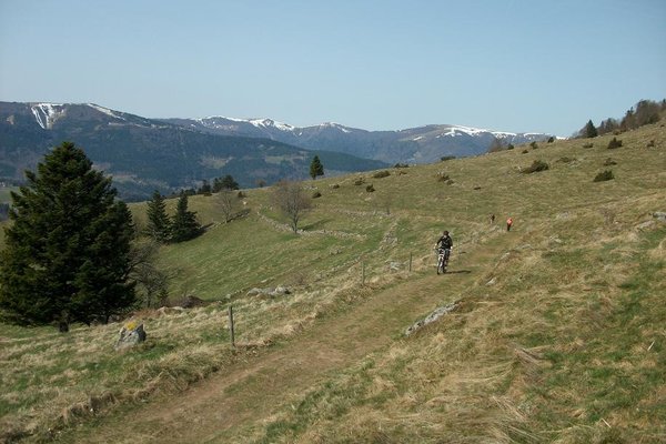 Chaume versant &quot;Grande vallée&quot; Metzeral/Sondernach/Mulbach&quot;