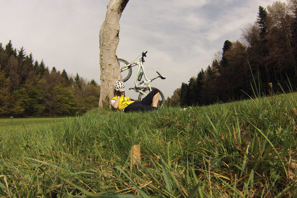 arbre2.JPG