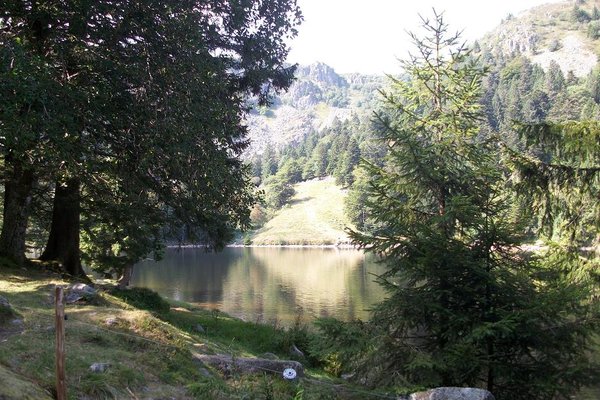 Lac des truites (ou Forley)