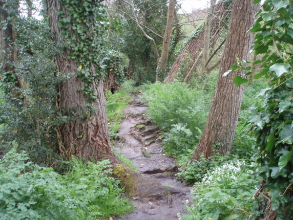 le sentier