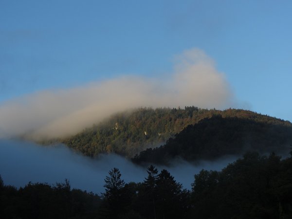 IMG_0746.jpg