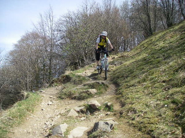 IMGP0227.JPG
