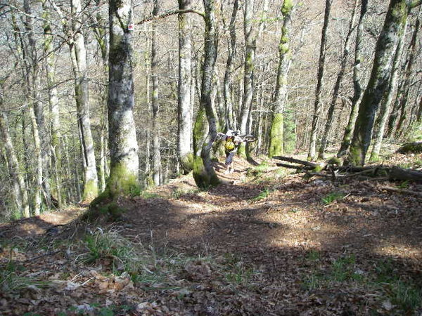 IMGP0228.JPG