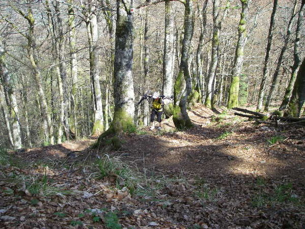 IMGP0229.JPG